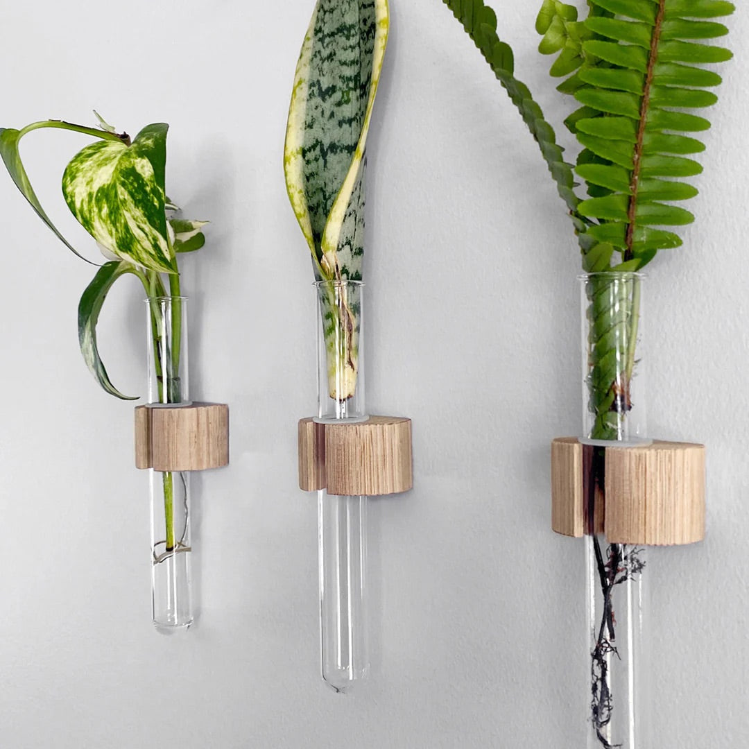 Stiklingvase til vegg 1.stk