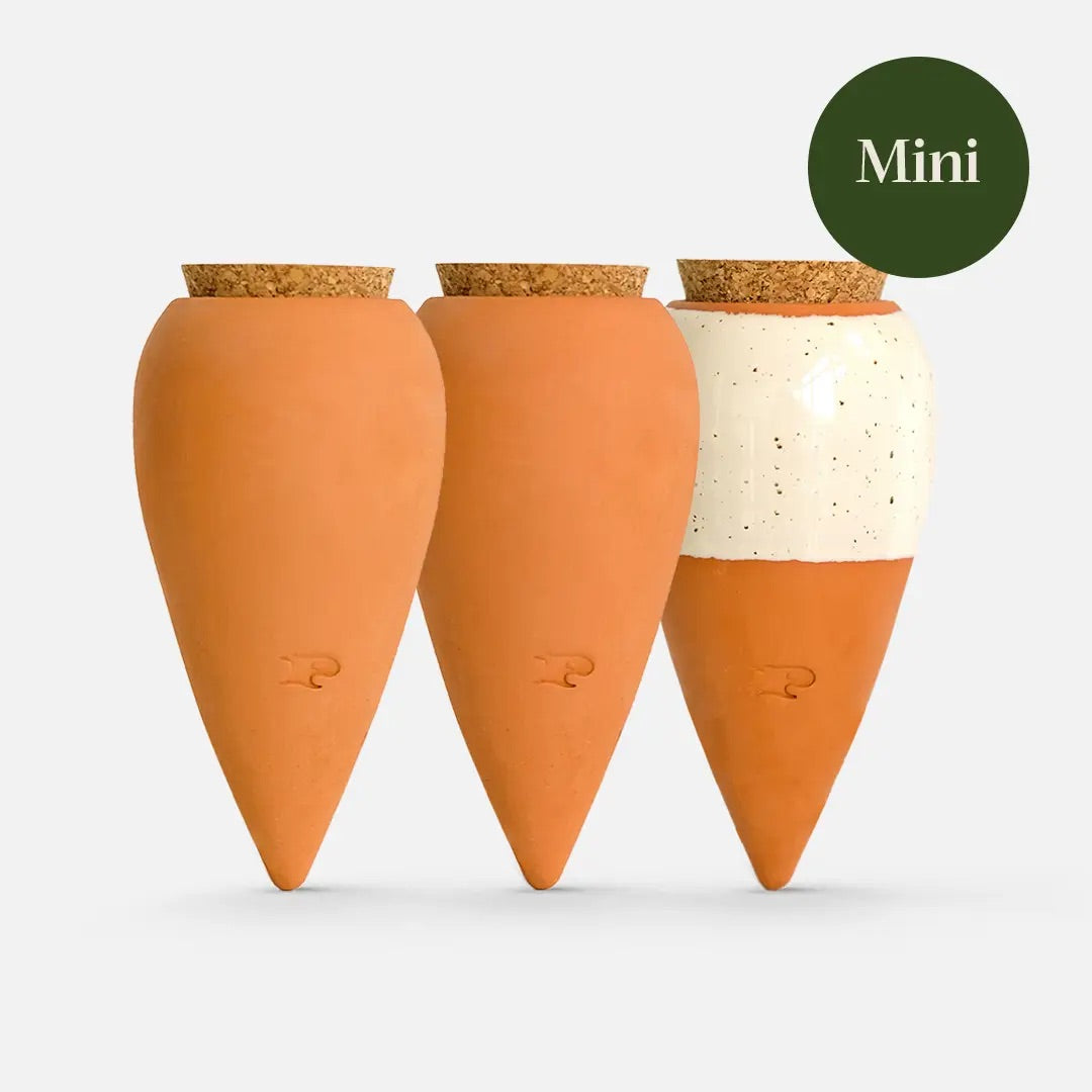 Olla -mini 3pk