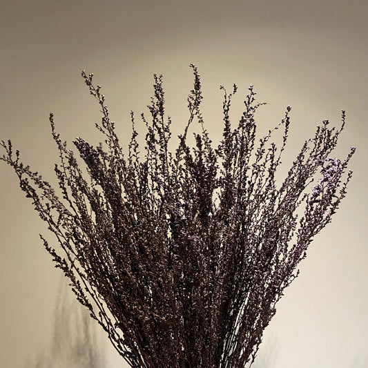 Tørket dyp brun solidago