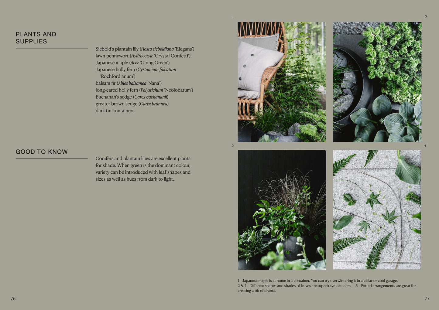 The potted garden