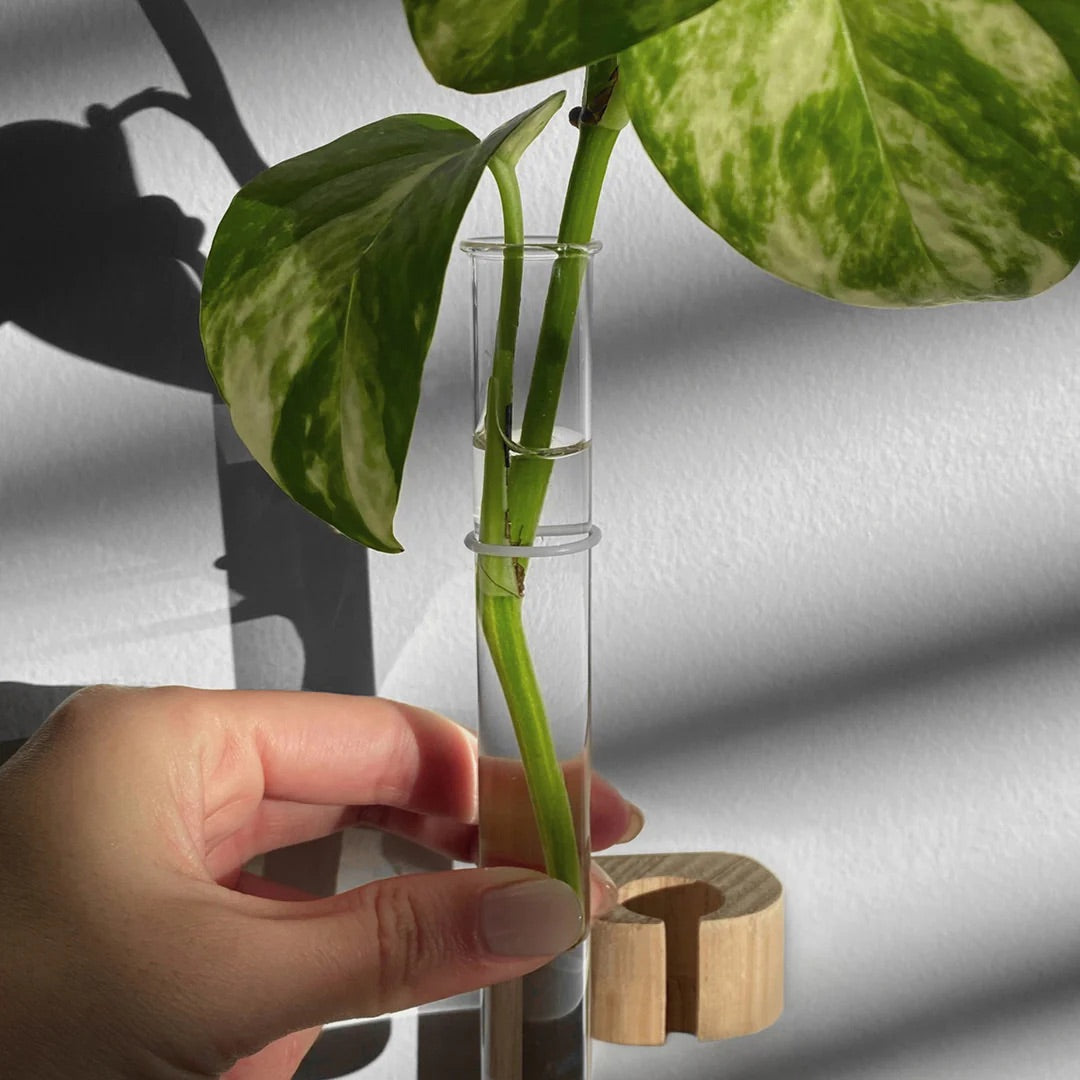 Stiklingvase til vegg 1.stk