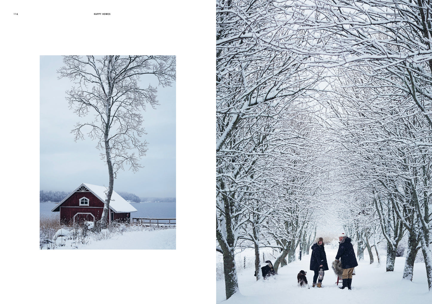 Happy Homes - Merry Christmas