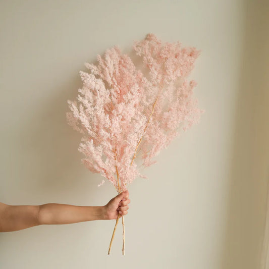 Rosa tørket Pine Fern