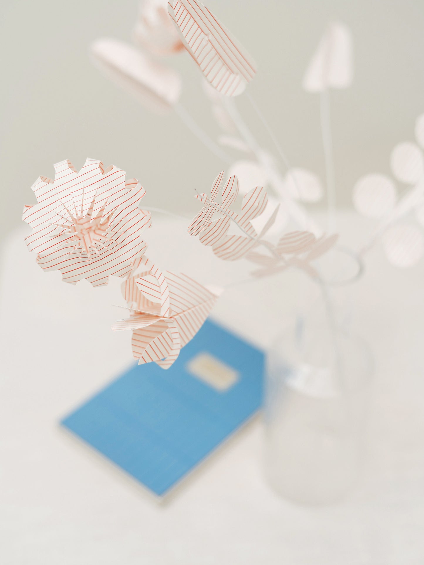 Engblomster stor - Hvit