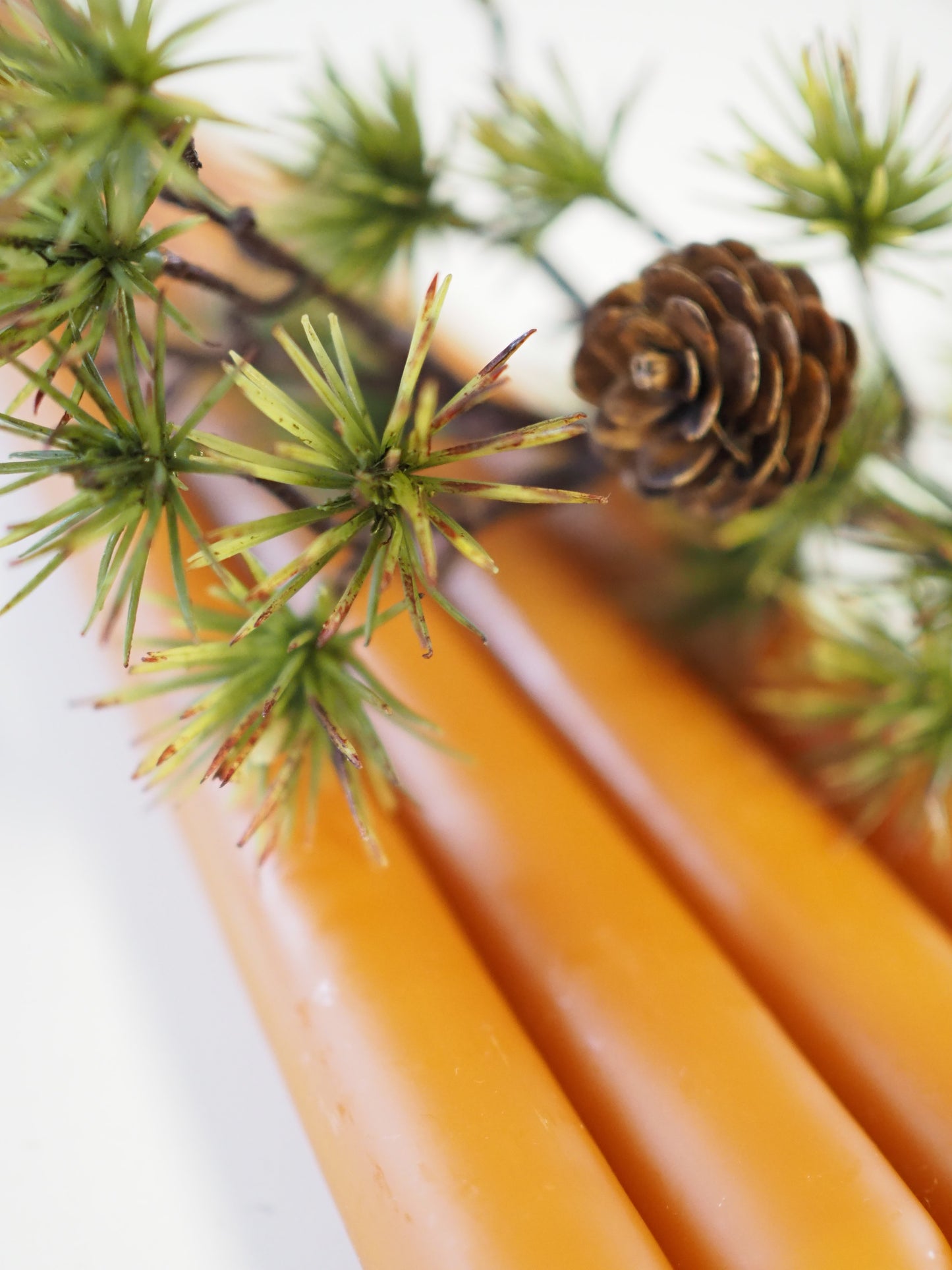 Stakelys WARM AMBER 4.stk