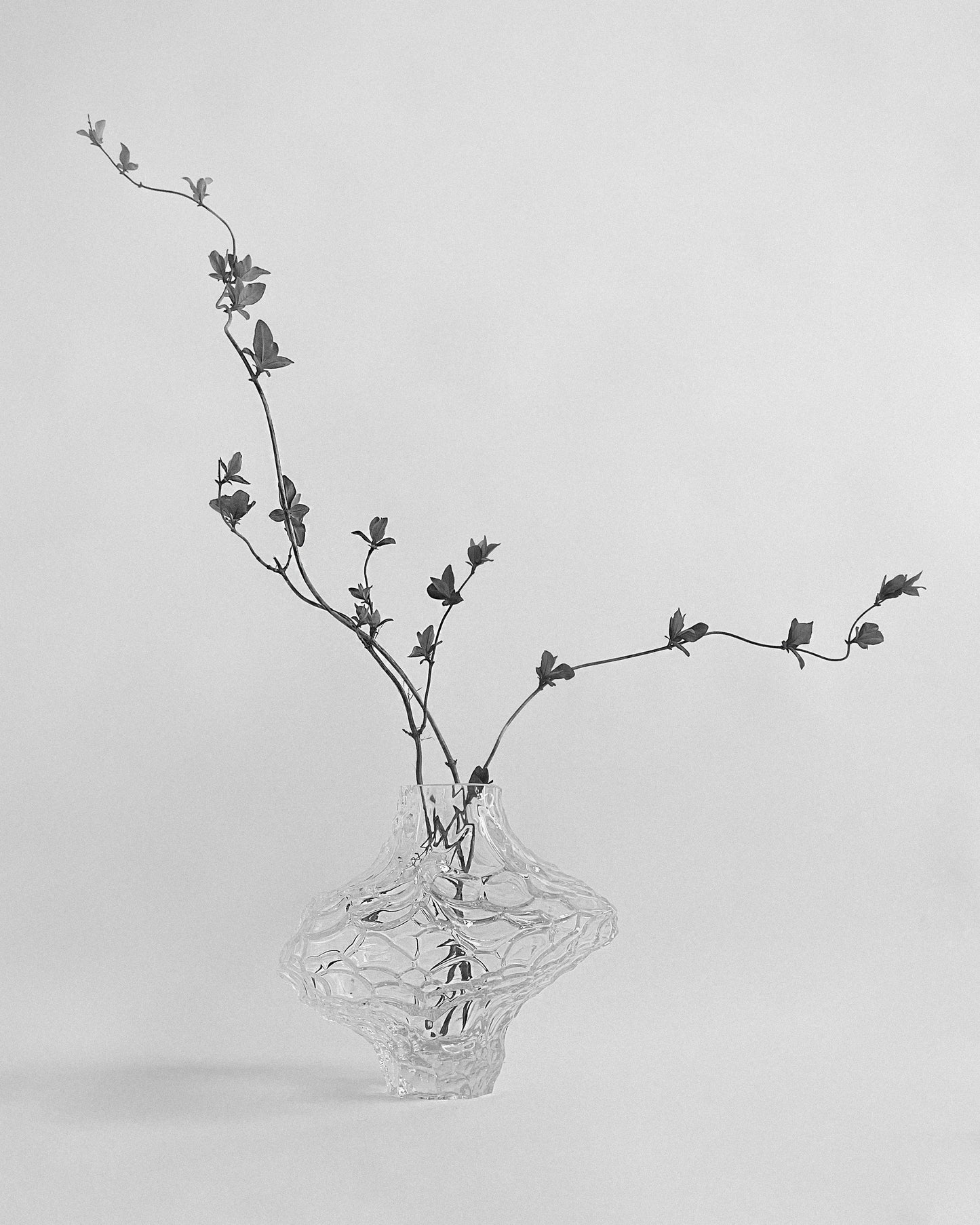 Canyon Vase Stor - Klar