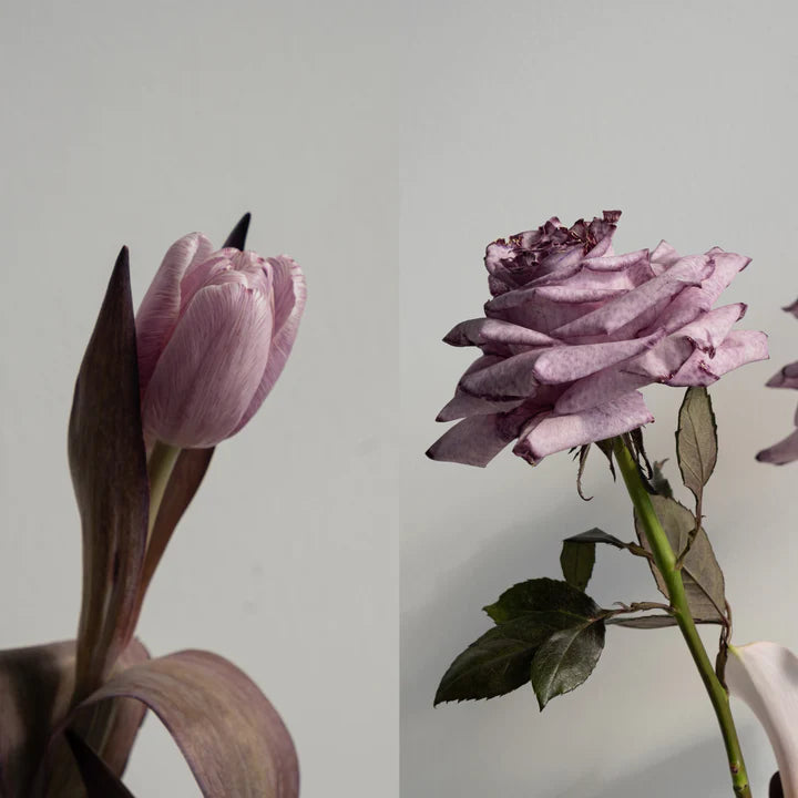 Blomsterfarge - Lilla