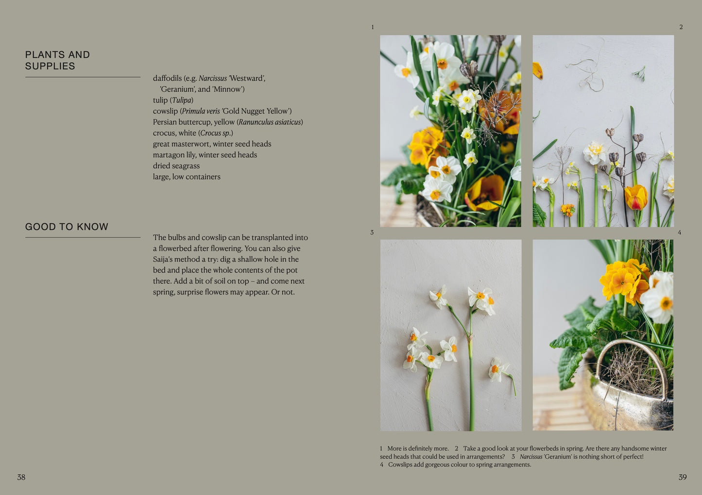 The potted garden
