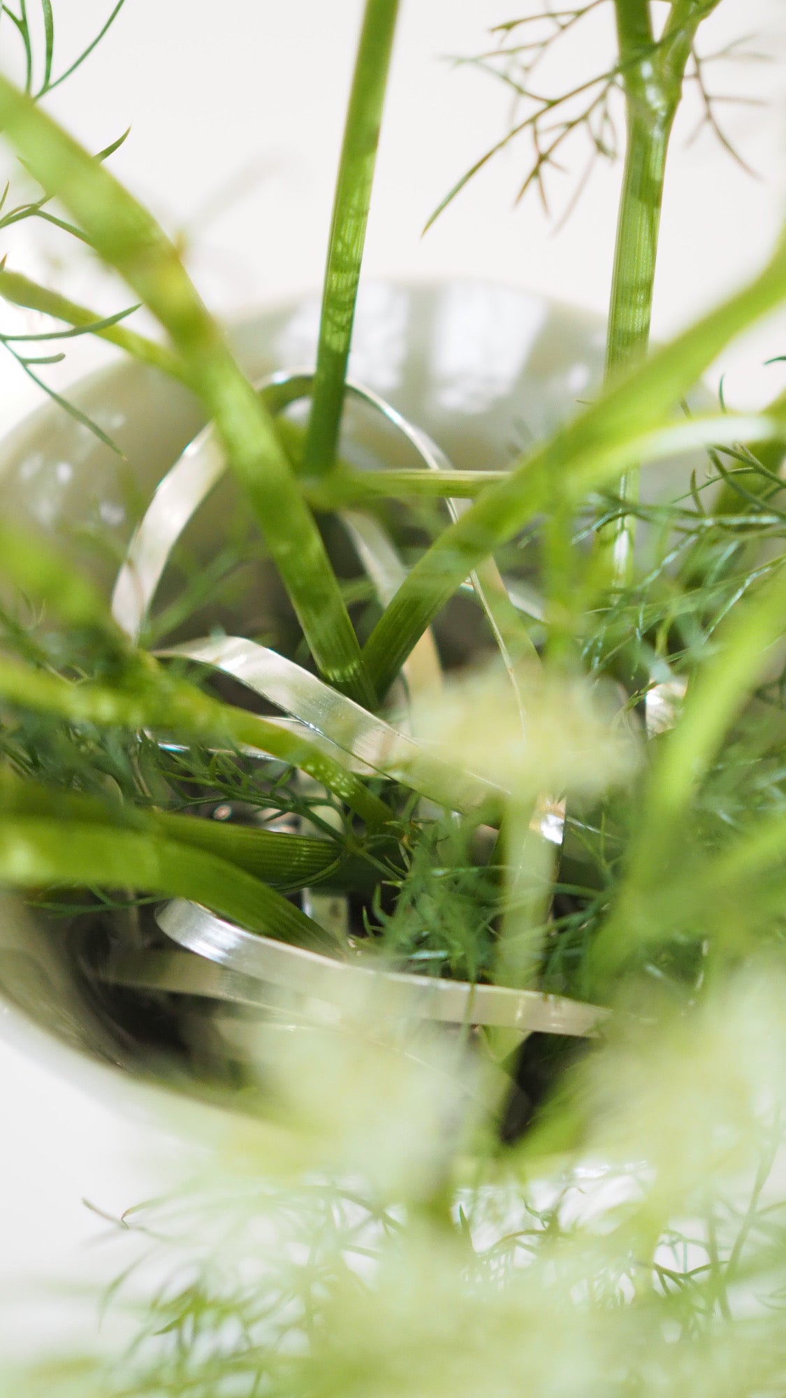 Nest blomsterfakir