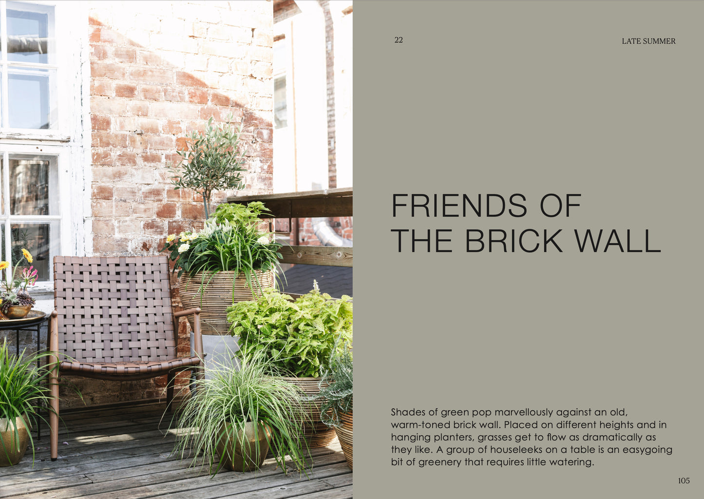 The potted garden