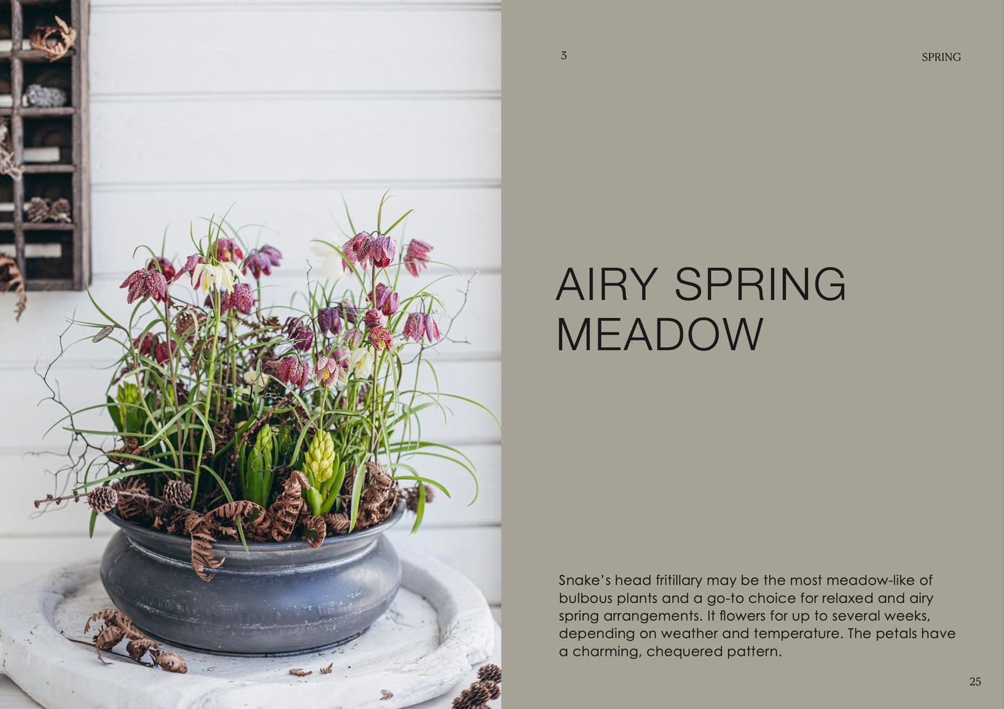 The potted garden