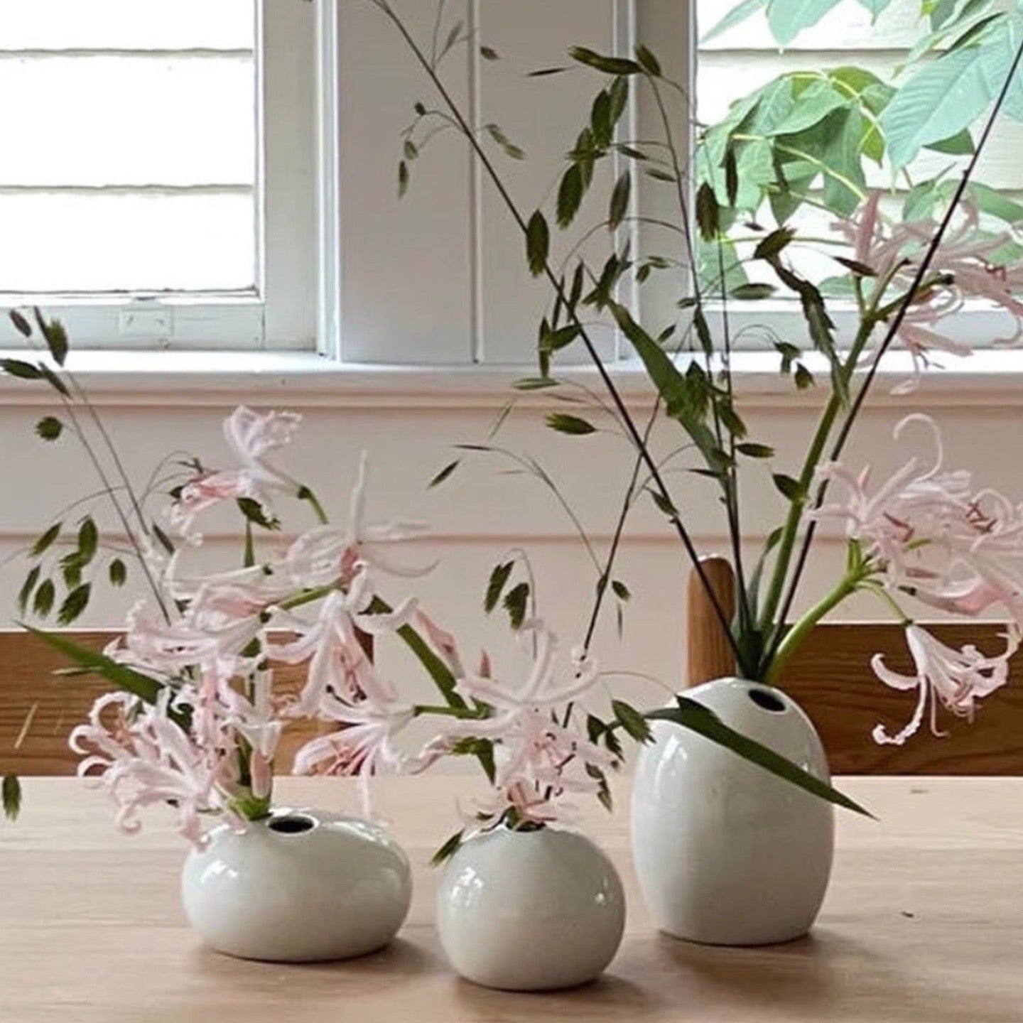 Utaka Bud Vase - Little Oblate
