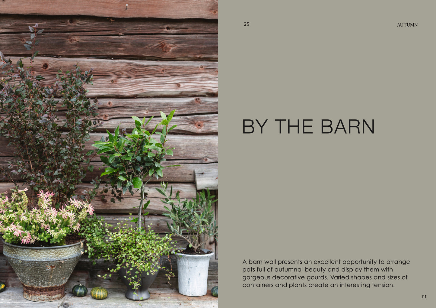 The potted garden