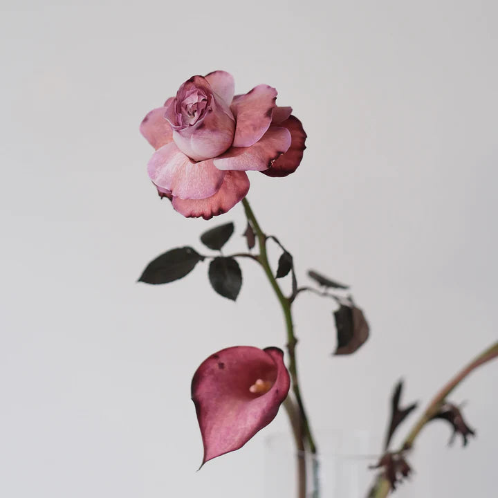 Blomsterfarge - Brownie