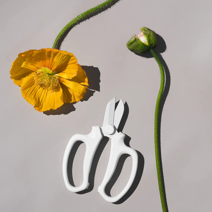 Blomstersaks