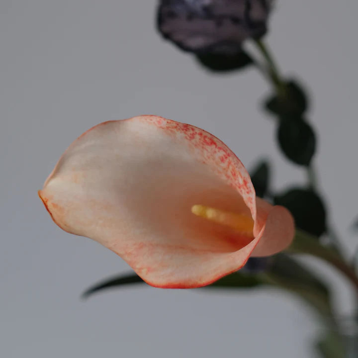 Blomsterfarge - Salmon